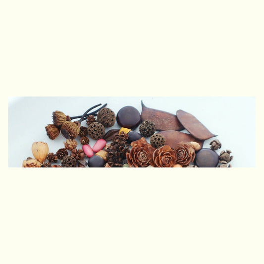Cottagecore Bean Pod Doll DIY Craft Kit — natural materials flatlay (bean pods, pine cones, dried cedar roses)
