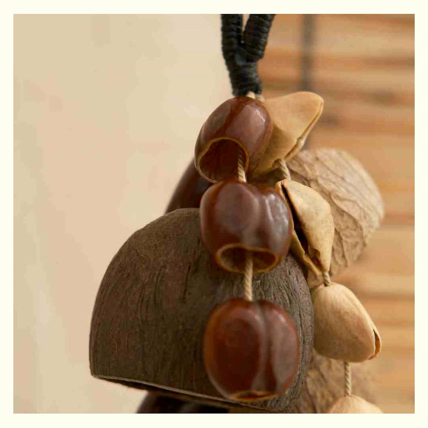 Vintage Natural Fruit Shell Rattle Charm - Wujin Bell