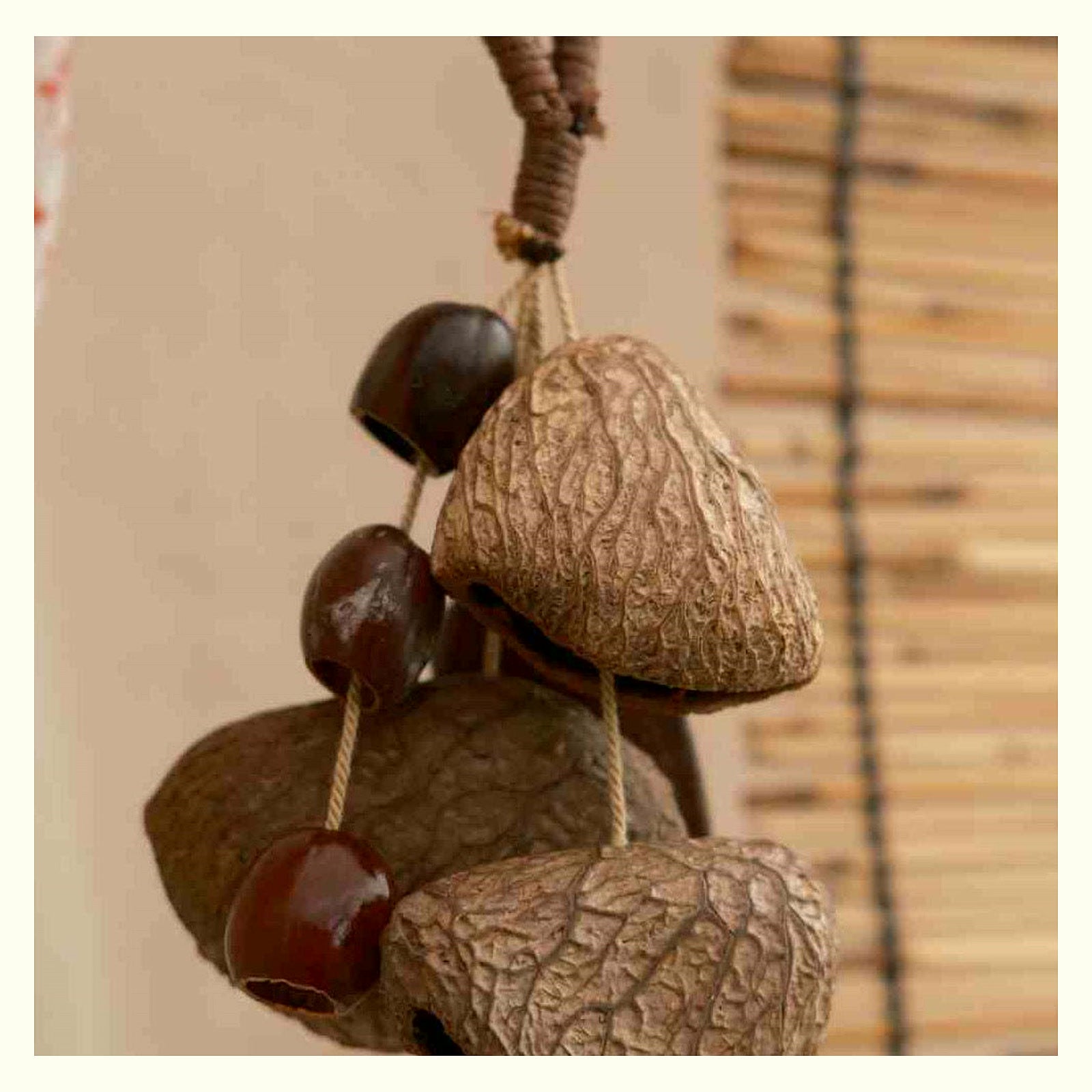 Vintage Natural Fruit Shell Rattle Charm - Xuan Shell Song
